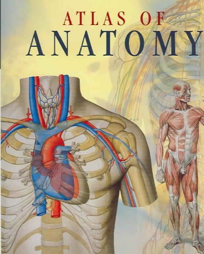 Atlas of human anatomy.