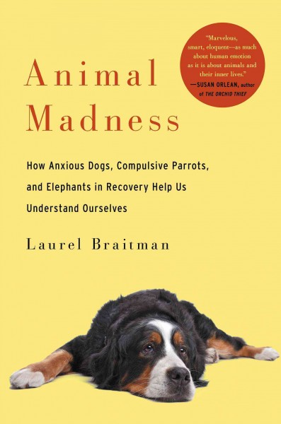 Animal madness : How anxious dogs, compulsive parrots, and elephants in recovery help us understand ourselves / Laurel Braitman.