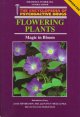 Flowering plants : magic in bloom  Cover Image