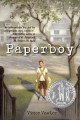 Paperboy  Cover Image