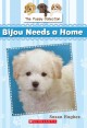 Bijou needs a home  Cover Image