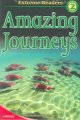 Amazing journeys  Cover Image